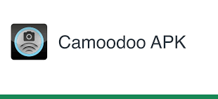 Camoodoo Logo